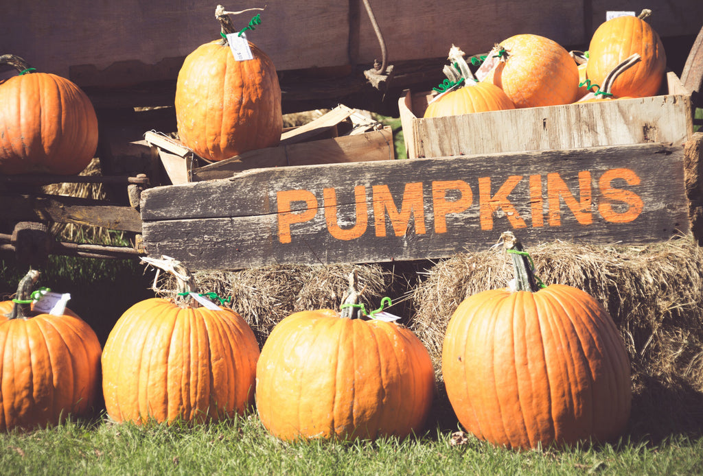 NATURAL PUMPKIN PRESERVE SPRAY
