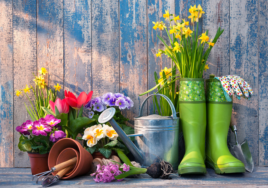 SPRING DIFFUSING BLENDS