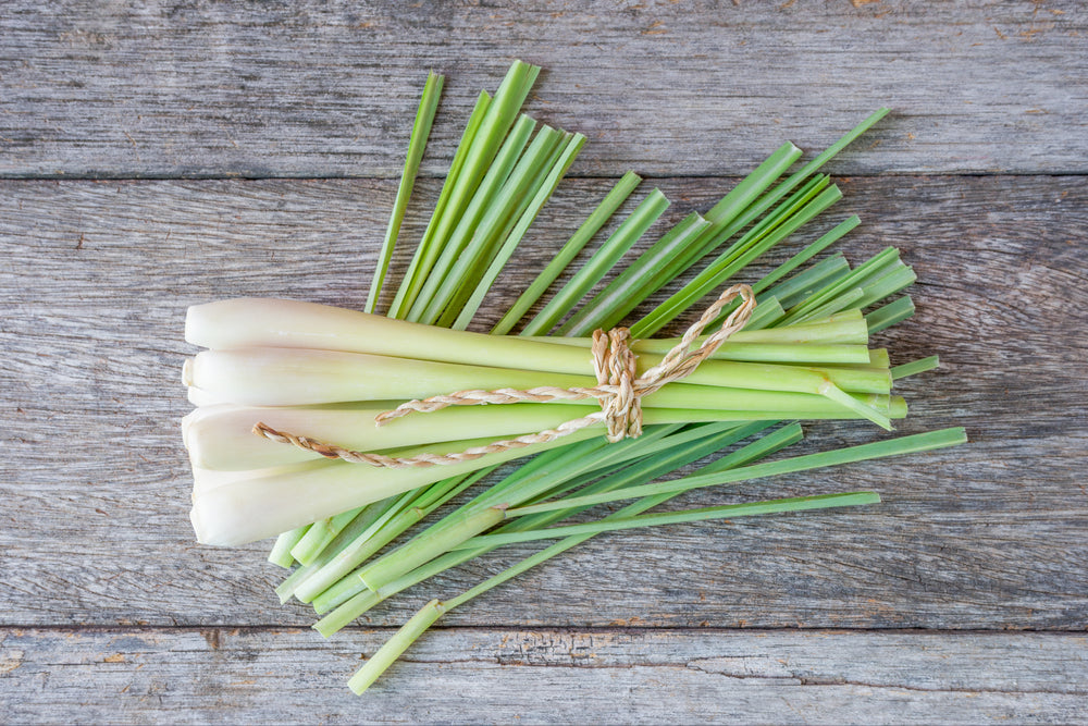 DEAR LEMONGRASS: 9 REASONS I ADORE YOU
